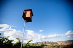 Owl Box for Sustainable Farming